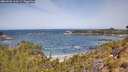 ./images/calvert/foggy-cove/20260520/foggy-cove20260520_113501M.jpg