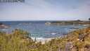 ./images/calvert/foggy-cove/20260520/foggy-cove20260520_114001M.jpg