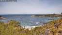 ./images/calvert/foggy-cove/20260520/foggy-cove20260520_114501M.jpg