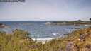./images/calvert/foggy-cove/20260520/foggy-cove20260520_115001M.jpg
