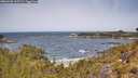 ./images/calvert/foggy-cove/20260520/foggy-cove20260520_115502M.jpg