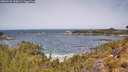 ./images/calvert/foggy-cove/20260520/foggy-cove20260520_120001M.jpg