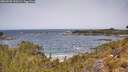 ./images/calvert/foggy-cove/20260520/foggy-cove20260520_120501M.jpg
