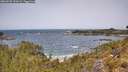 ./images/calvert/foggy-cove/20260520/foggy-cove20260520_121001M.jpg