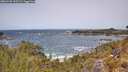 ./images/calvert/foggy-cove/20260520/foggy-cove20260520_123501M.jpg