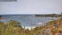 ./images/calvert/foggy-cove/20260520/foggy-cove20260520_124002M.jpg