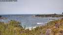 ./images/calvert/foggy-cove/20260520/foggy-cove20260520_124501M.jpg