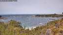 ./images/calvert/foggy-cove/20260520/foggy-cove20260520_125501M.jpg
