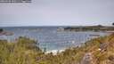 ./images/calvert/foggy-cove/20260520/foggy-cove20260520_130501M.jpg
