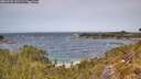 ./images/calvert/foggy-cove/20260520/foggy-cove20260520_131502M.jpg