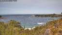 ./images/calvert/foggy-cove/20260520/foggy-cove20260520_132001M.jpg
