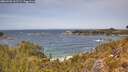 ./images/calvert/foggy-cove/20260520/foggy-cove20260520_132501M.jpg