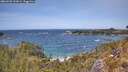 ./images/calvert/foggy-cove/20260520/foggy-cove20260520_133001M.jpg