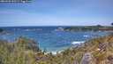./images/calvert/foggy-cove/20260520/foggy-cove20260520_133501M.jpg