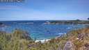 ./images/calvert/foggy-cove/20260520/foggy-cove20260520_134001M.jpg