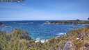 ./images/calvert/foggy-cove/20260520/foggy-cove20260520_134501M.jpg