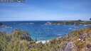 ./images/calvert/foggy-cove/20260520/foggy-cove20260520_135001M.jpg
