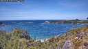 ./images/calvert/foggy-cove/20260520/foggy-cove20260520_135502M.jpg