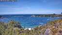 ./images/calvert/foggy-cove/20260520/foggy-cove20260520_140001M.jpg