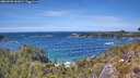 ./images/calvert/foggy-cove/20260520/foggy-cove20260520_141001M.jpg