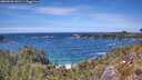 ./images/calvert/foggy-cove/20260520/foggy-cove20260520_141501M.jpg