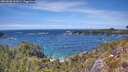 ./images/calvert/foggy-cove/20260520/foggy-cove20260520_142001M.jpg
