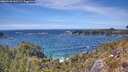 ./images/calvert/foggy-cove/20260520/foggy-cove20260520_142501M.jpg