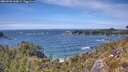 ./images/calvert/foggy-cove/20260520/foggy-cove20260520_143002M.jpg