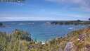 ./images/calvert/foggy-cove/20260520/foggy-cove20260520_143501M.jpg