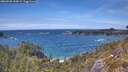 ./images/calvert/foggy-cove/20260520/foggy-cove20260520_144001M.jpg