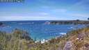 ./images/calvert/foggy-cove/20260520/foggy-cove20260520_144502M.jpg