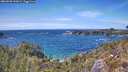 ./images/calvert/foggy-cove/20260520/foggy-cove20260520_145002M.jpg