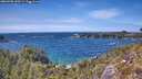 ./images/calvert/foggy-cove/20260520/foggy-cove20260520_145501M.jpg