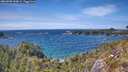 ./images/calvert/foggy-cove/20260520/foggy-cove20260520_150001M.jpg