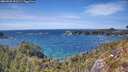 ./images/calvert/foggy-cove/20260520/foggy-cove20260520_150501M.jpg