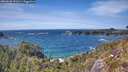 ./images/calvert/foggy-cove/20260520/foggy-cove20260520_151001M.jpg