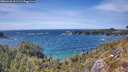 ./images/calvert/foggy-cove/20260520/foggy-cove20260520_151501M.jpg