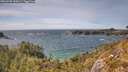 ./images/calvert/foggy-cove/20260520/foggy-cove20260520_153001M.jpg