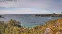 ./images/calvert/foggy-cove/20260520/foggy-cove20260520_153501M.jpg