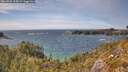 ./images/calvert/foggy-cove/20260520/foggy-cove20260520_154501M.jpg