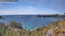 ./images/calvert/foggy-cove/20260520/foggy-cove20260520_155001M.jpg