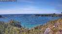 ./images/calvert/foggy-cove/20260520/foggy-cove20260520_155501M.jpg