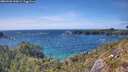./images/calvert/foggy-cove/20260520/foggy-cove20260520_160002M.jpg