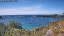 ./images/calvert/foggy-cove/20260520/foggy-cove20260520_160501M.jpg