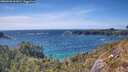 ./images/calvert/foggy-cove/20260520/foggy-cove20260520_161001M.jpg
