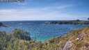 ./images/calvert/foggy-cove/20260520/foggy-cove20260520_161501M.jpg