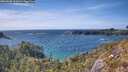 ./images/calvert/foggy-cove/20260520/foggy-cove20260520_162002M.jpg