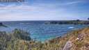 ./images/calvert/foggy-cove/20260520/foggy-cove20260520_162501M.jpg