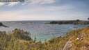 ./images/calvert/foggy-cove/20260520/foggy-cove20260520_164001M.jpg