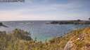 ./images/calvert/foggy-cove/20260520/foggy-cove20260520_164501M.jpg